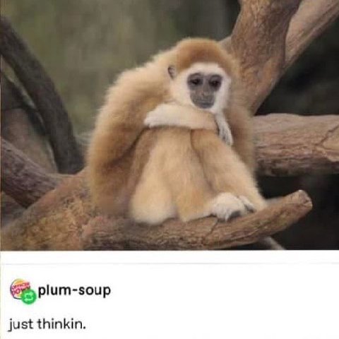just thinkin.
