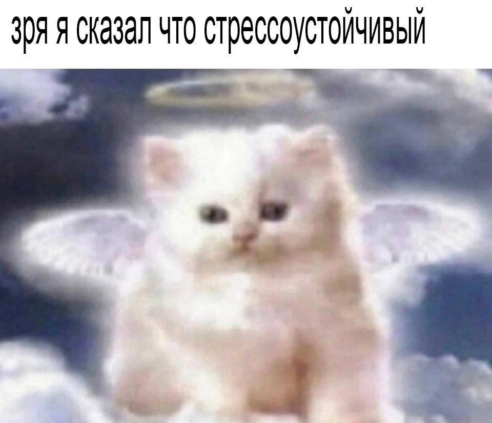 зря я сказал что стрессоустоичивый a a