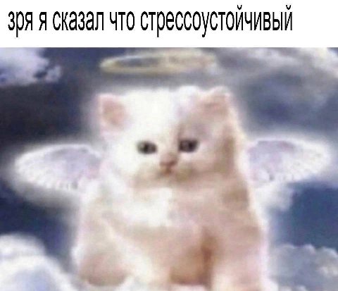 зря я сказал что стрессоустоичивый a a