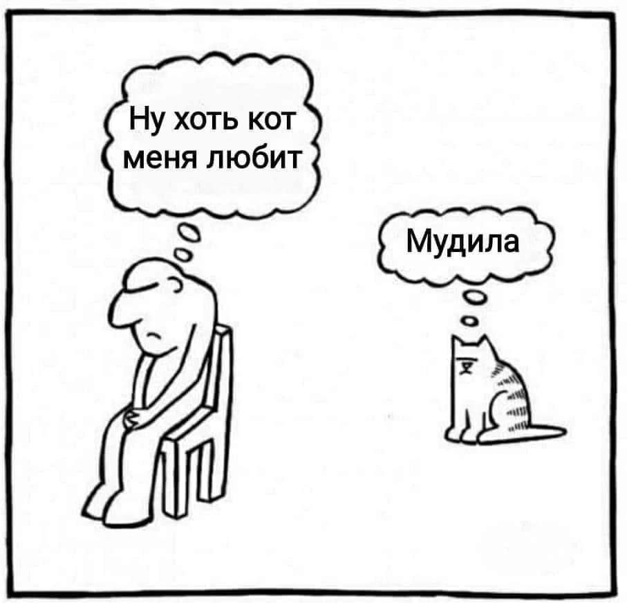 Ну хоть кот меня любит о