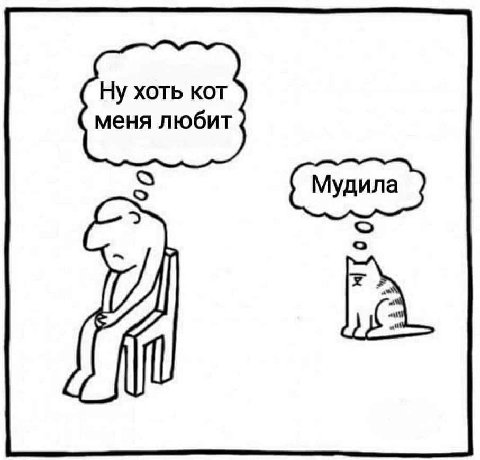 Ну хоть кот меня любит о