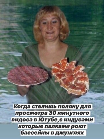 Когда стелишь поляну для просмотра 30 минутного видоса в Ютубе,с индусами которые палками роют бассейны в джунглях
