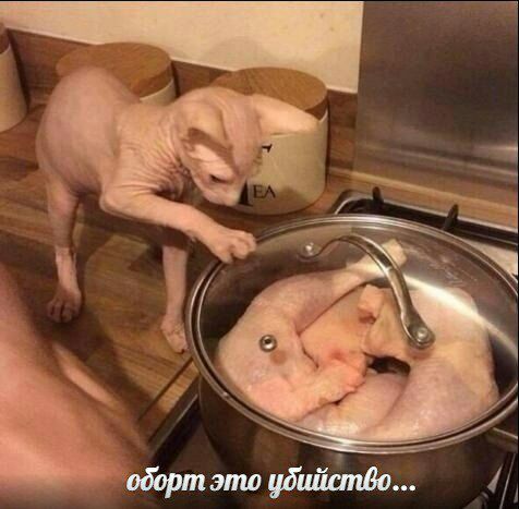 оборт это ибийство...