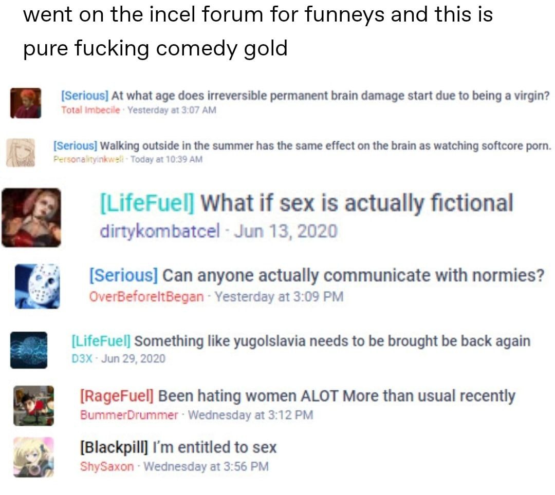went the incel forum for funneys and this is pure fucking comedy gold [Serious] At аде does permanent brain damage start due to being a virgin? Tota ecile [Serious] in the summer has the same effect o