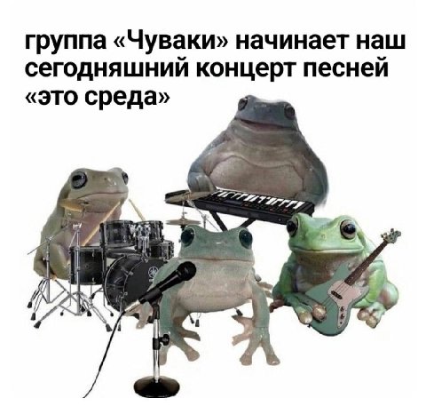 группа «Чуваки» начинает наш сегодняшний концерт песней «это среда» “i A a