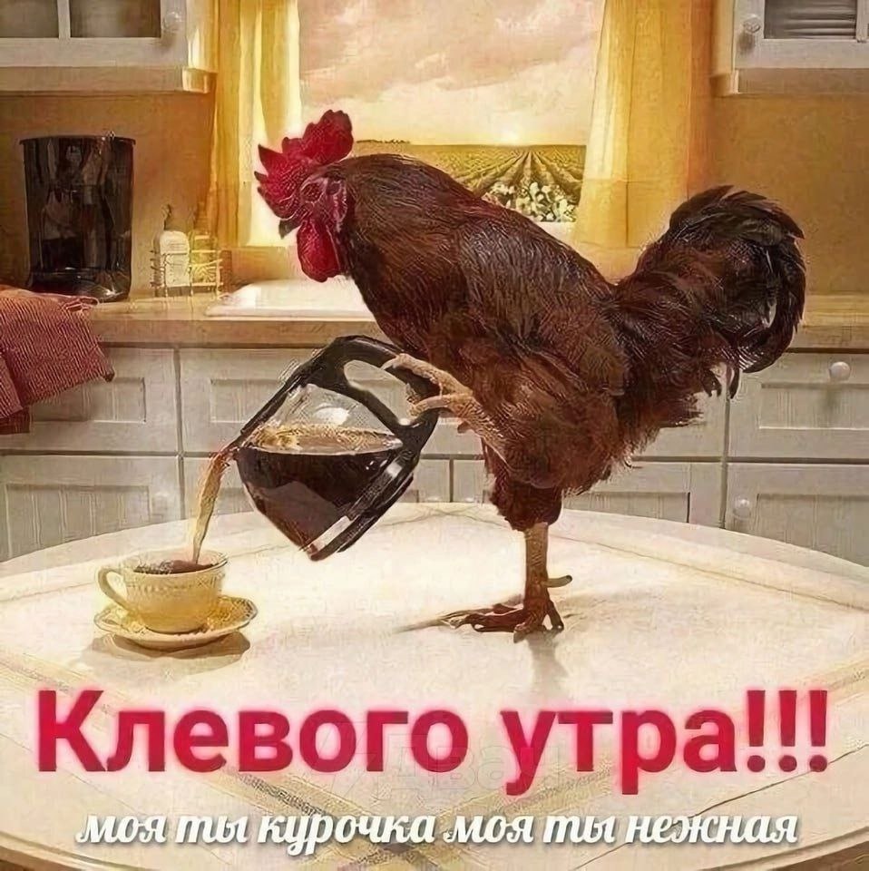 у A a i, 4, к Клевого МОЯ ты кирочка моя Wut