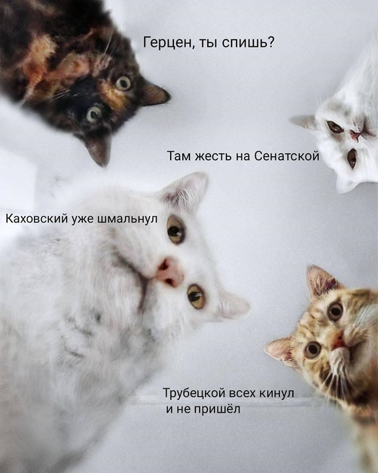 Герцен, ты спишь? Там жесть Сенатской Каховский уже шмальнул 4, Трубецкой всех кинул и не пришёл