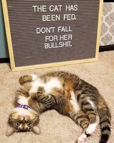 a BEEN FED 1] и DONT FALL OR HER if В за $7 к i 7 4 В TER 2 4 ieee 8 AN: BES