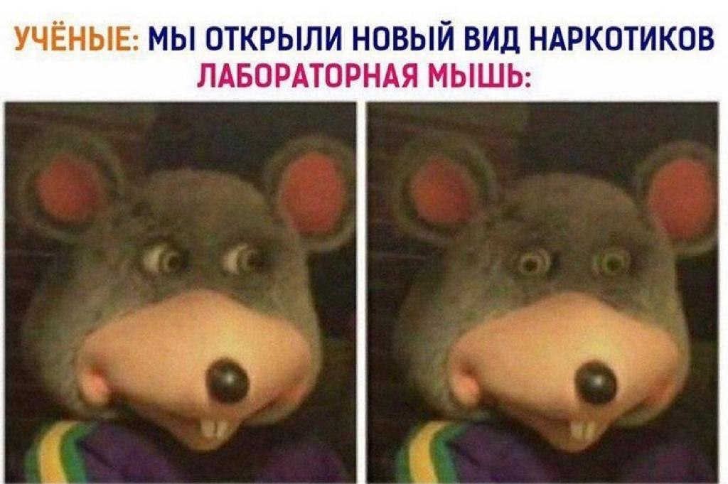УЧЁНЫЕ: МЫ ОТКРЫЛИ НОВЫЙ ВИД НАРКОТИКОВ ЛАБОРАТОРНАЯ МЫШЬ: