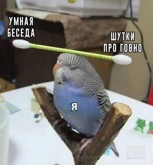 УМНАЯ БЕСЕДА ШУТКИ ПРО ГОВНО