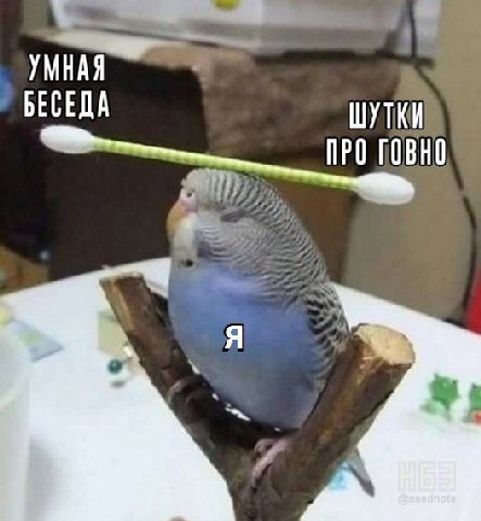 УМНАЯ БЕСЕДА ШУТКИ ПРО ГОВНО