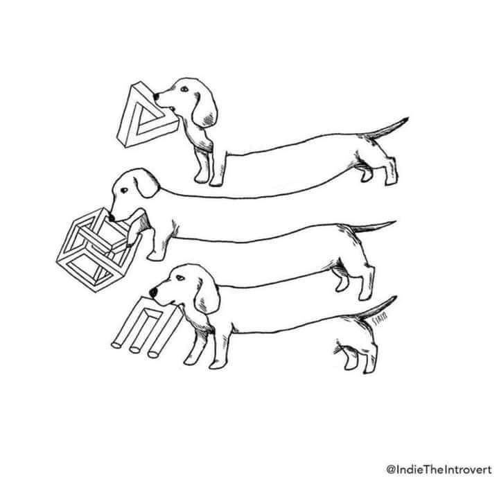 4,