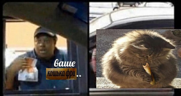 a баше