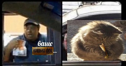 a баше