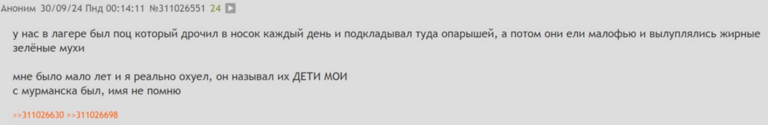 Аноним 30/09/24 Пнд 00:14:11 №311026551 24 у нас в лагере был поц который дрочил в носок каждый день и подкладывал туда опарышей, а потом они ели малофью и вылуплялись жирные зелёные мухи мне было мал