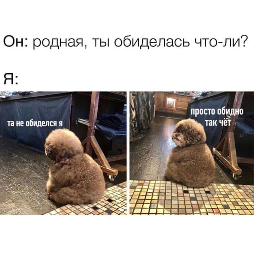 Он: родная, ты обиделась что-ли? Я: просто обидно не обиделся я так чет A