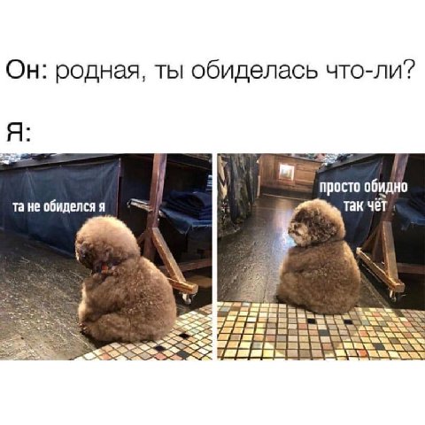 Он: родная, ты обиделась что-ли? Я: просто обидно не обиделся я так чет A