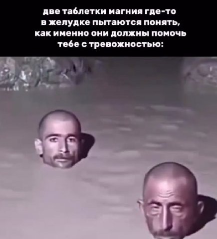 две таблетки магния где-то в желудке пытаются понять, как именно они должны помочь тебе с тревожностью: у