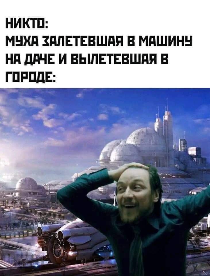 НИКТО: МУХА ЗАЛЕТЕВШАЯ В МАШИНУ НА ДАЧЕ И ВЫЛЕТЕВШАЯ В ГОРОДЕ: