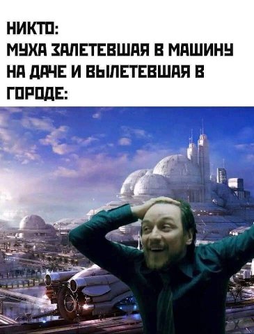 НИКТО: МУХА ЗАЛЕТЕВШАЯ В МАШИНУ НА ДАЧЕ И ВЫЛЕТЕВШАЯ В ГОРОДЕ: