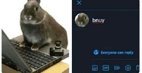 Бпиу