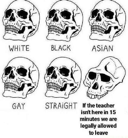i> WHITE BLACK ASIAN GAY STRAIGHT If the teacher isnt here in 15 minutes we are legally allowed to leave