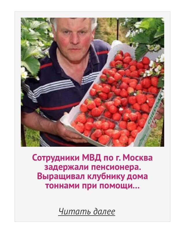 a™ Сотрудники МВД по Москва задержали пенсионера Выращивал клубнику дома тоннами при помощи Читать далее