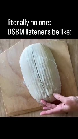 literally no one: DSBM be like: 1