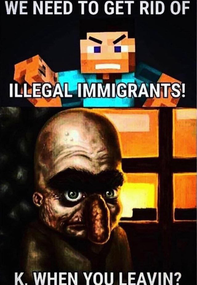 WE NEED ТО GET RID OF ILLEGAL IMMIGRANTS! К WHEN YOU LEAVIN?