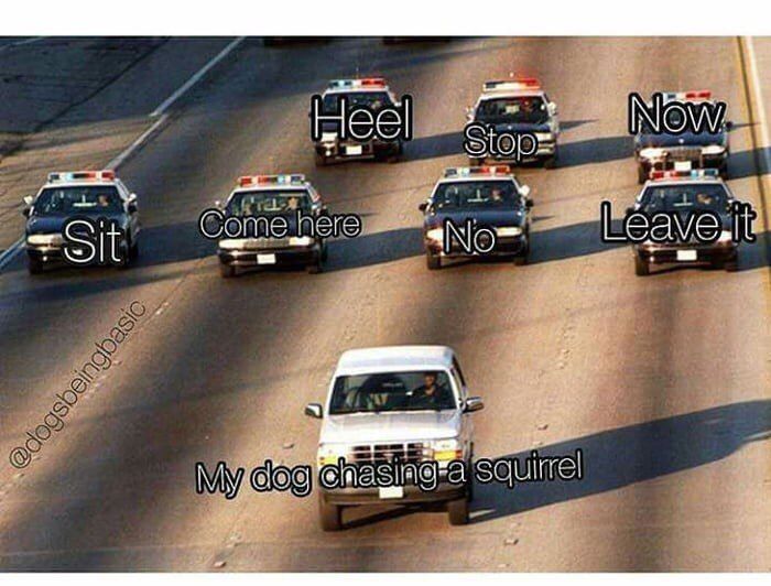 Нее to here Sit a "а