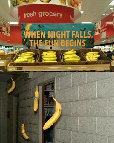 1 fresh grocery NIGHT FALLS,