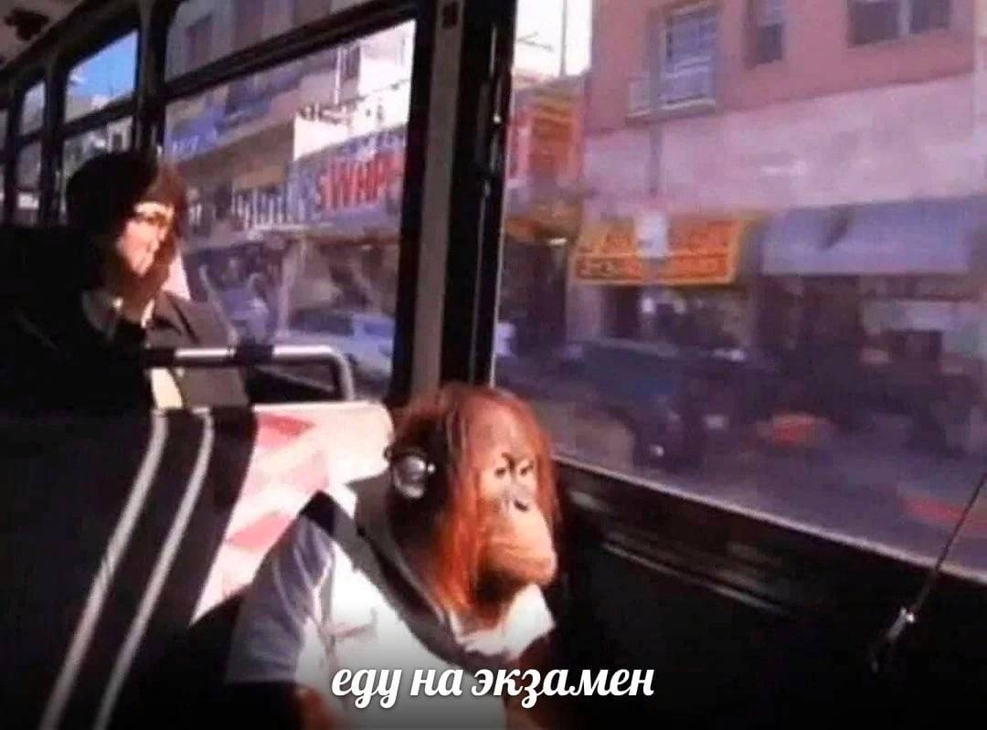 "А еду на экзамен