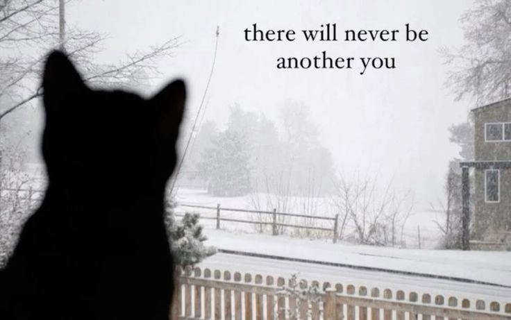 there will never be another you