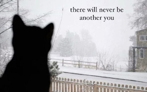 there will never be another you