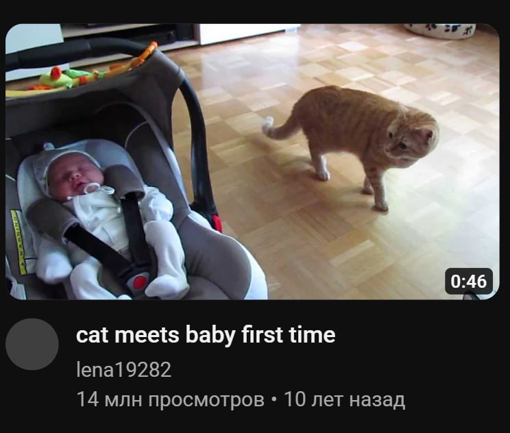 а чьо baby дохуя cat видела?????