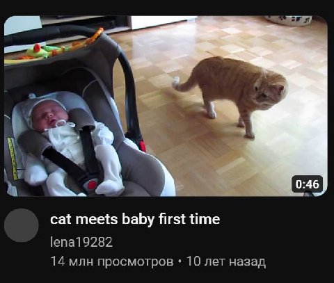 а чьо baby дохуя cat видела?????