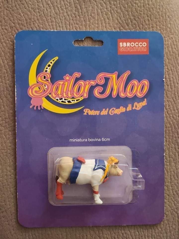 qilo Porere del miniatura bovina