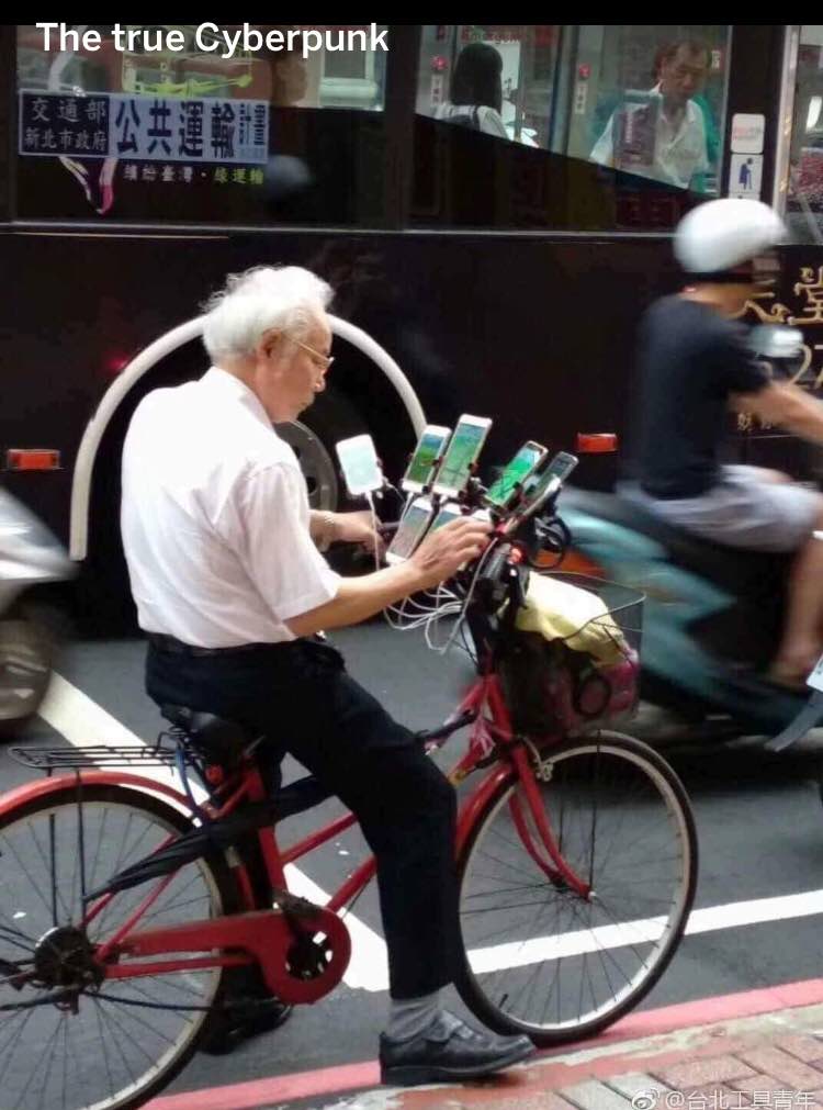 The true Cyberpunk