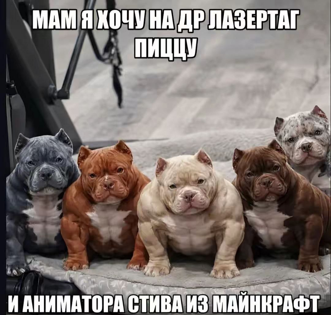 МАМ Я ХОЧУ НА ЛАЗЕРТАГ ПИЦЦУ Я к ИАНИМАТОРА СТИВА ИЗ МАЙНКРАФТ