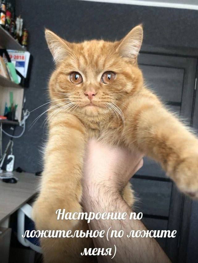 9 по ложительное (по ложите меня)