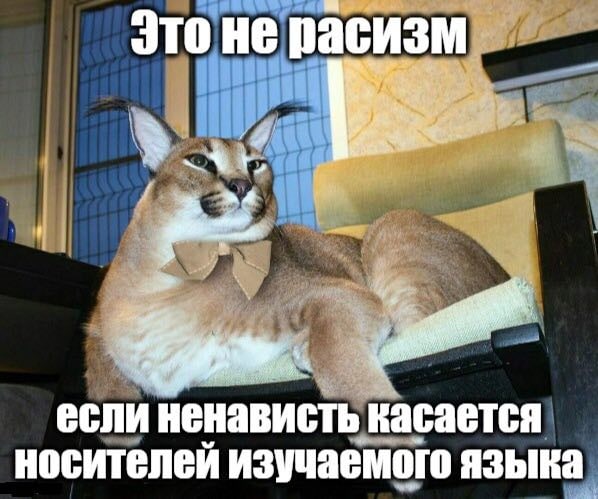 Это не расизм если ненависть касается изучаемого языка