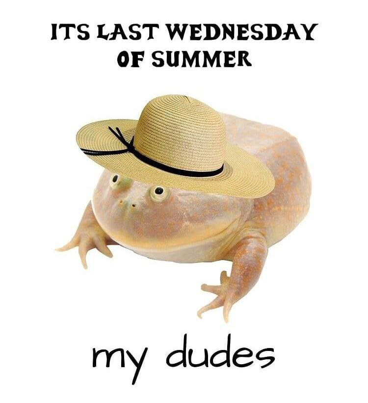 ITS LAST WEDNESDAY OF SUMMER aN a my dudes