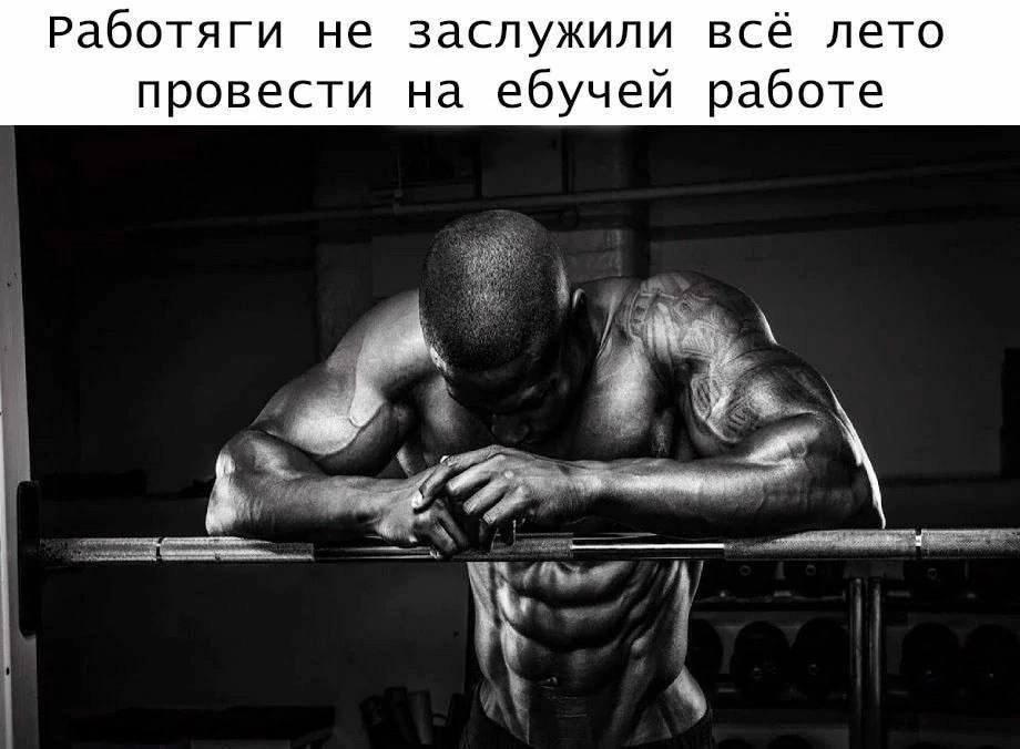 Работяги не заслужили всё лето провести на ебучей работе