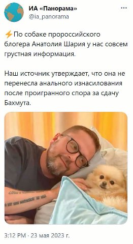 «Панорама» ase @ia_panorama По собаке пророссийского блогера Анатолия Шария у нас совсем грустная информация. Наш источник утверждает, что она не перенесла анального изнасилования после проигранного с