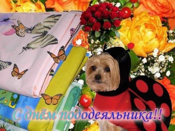 с wii 95. я a у bene