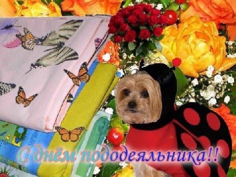 с wii 95. я a у bene