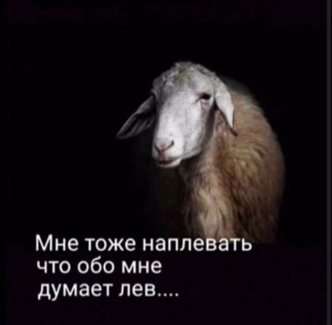 Мне тоже наплевать что обо мне думает