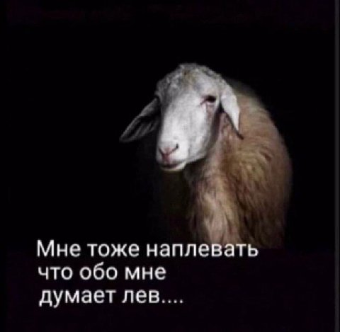 Мне тоже наплевать что обо мне думает