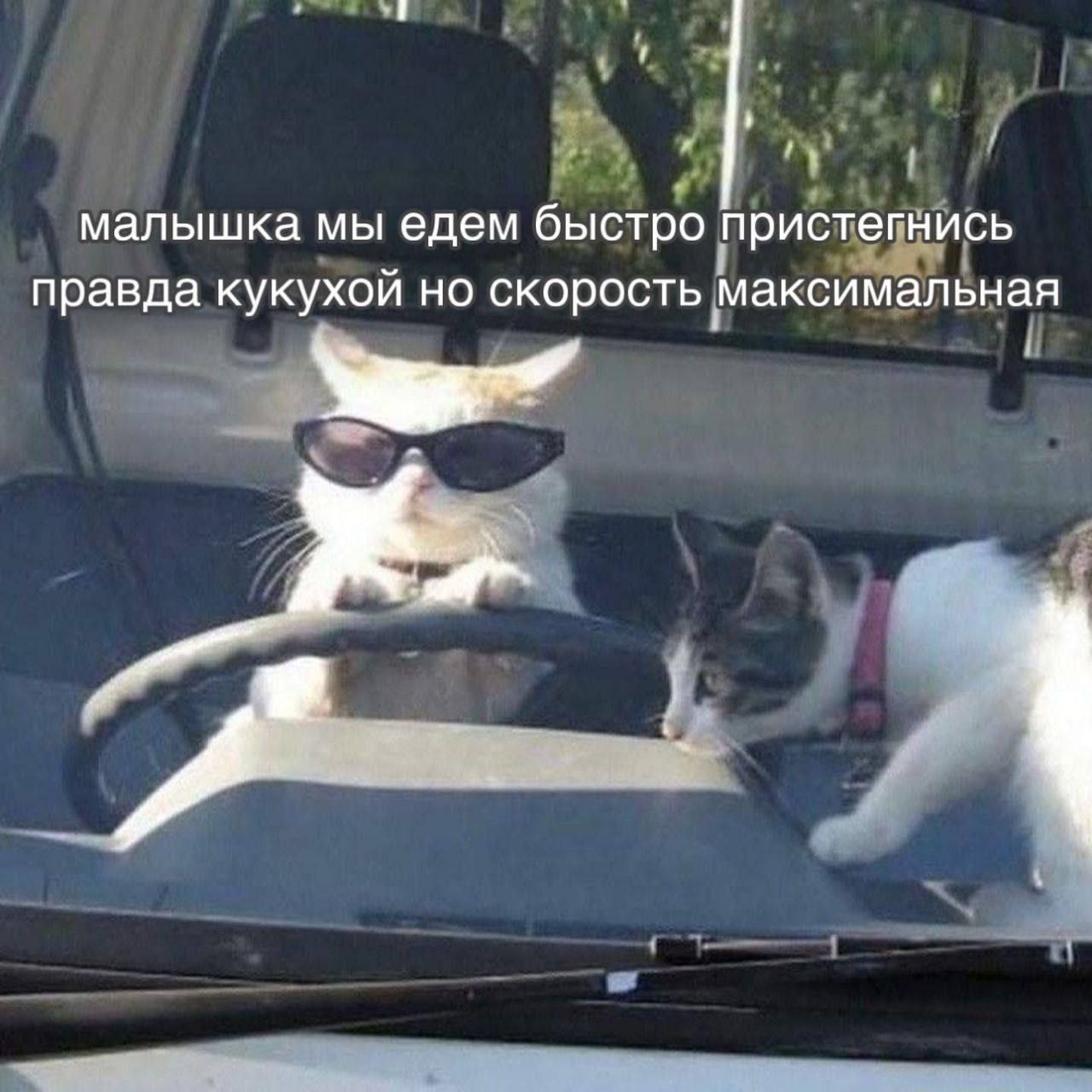 малышка мы едем быстро пристегнись правда кукухой но скорость максимальная