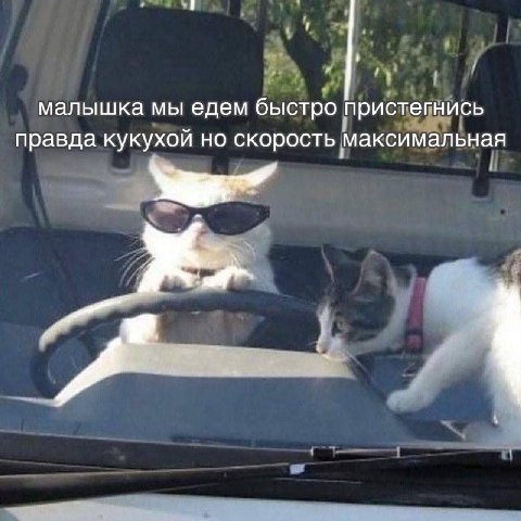 малышка мы едем быстро пристегнись правда кукухой но скорость максимальная